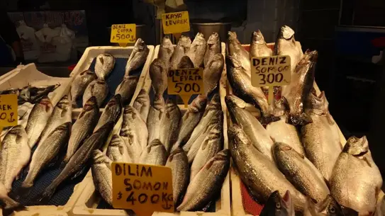 İstavrit tezgahları