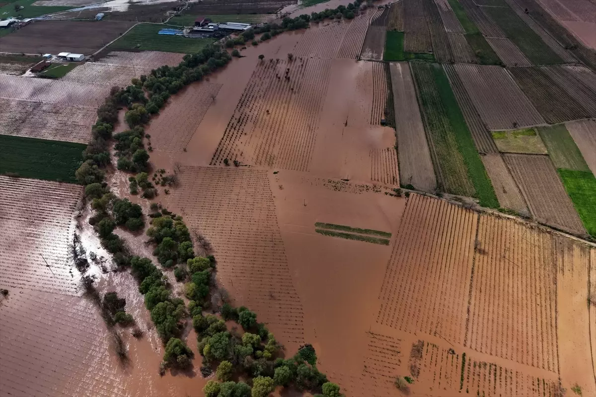 Gediz Nehri Tufanı Turgutlu’da Tarım Alanlarını Sarsıyor