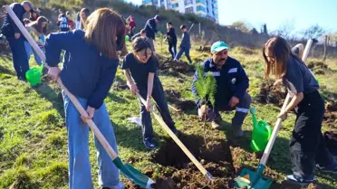 Dikilen fidanların fotoğrafı