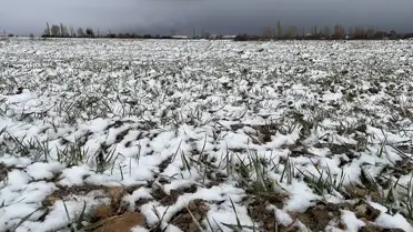 Pınarbaşı'nda karla kaplı tarım arazileri