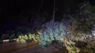 Çay taşması ve sel görüntüsü