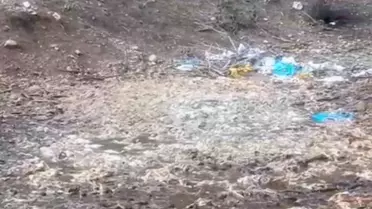 Tarsus ormanında bırakılmış ölü tavuklar