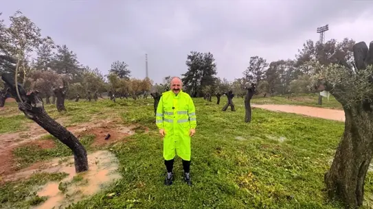 Varank enerji projeleri hakkında