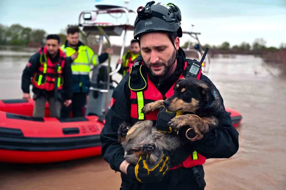 Bursa’da Su Taşkını Sonrası Köpek Kurtarma Operasyonu: Cesur ve Zeytin Güvende