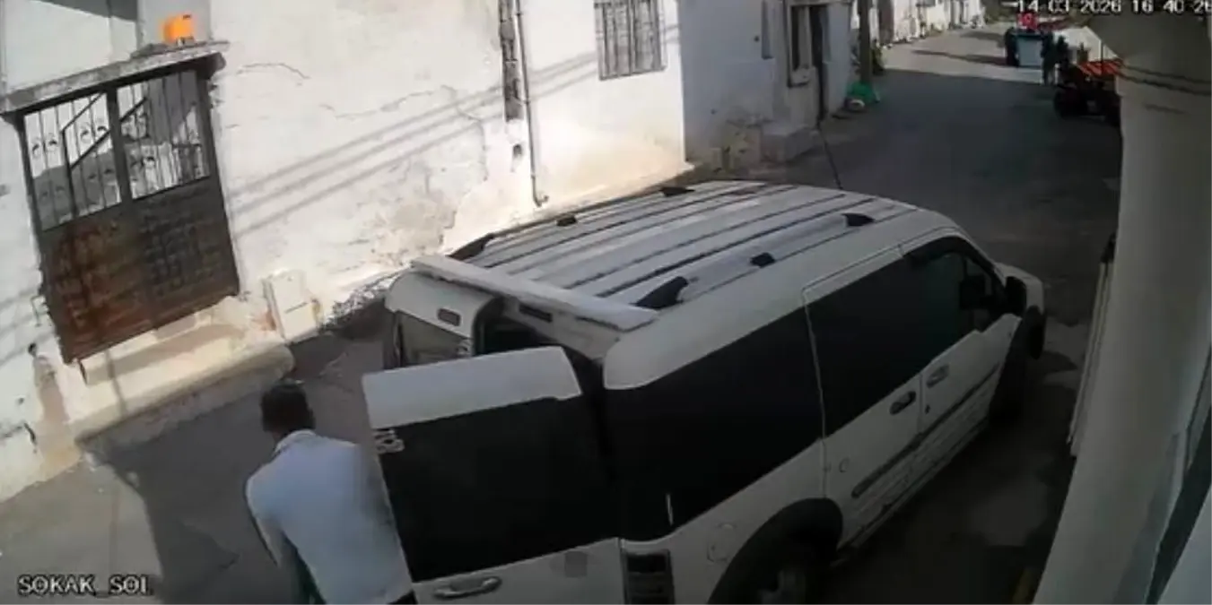 Menteşe'de 295 Kilo Zeytinyağı Çalındı: Polis Soruşturma Başlattı