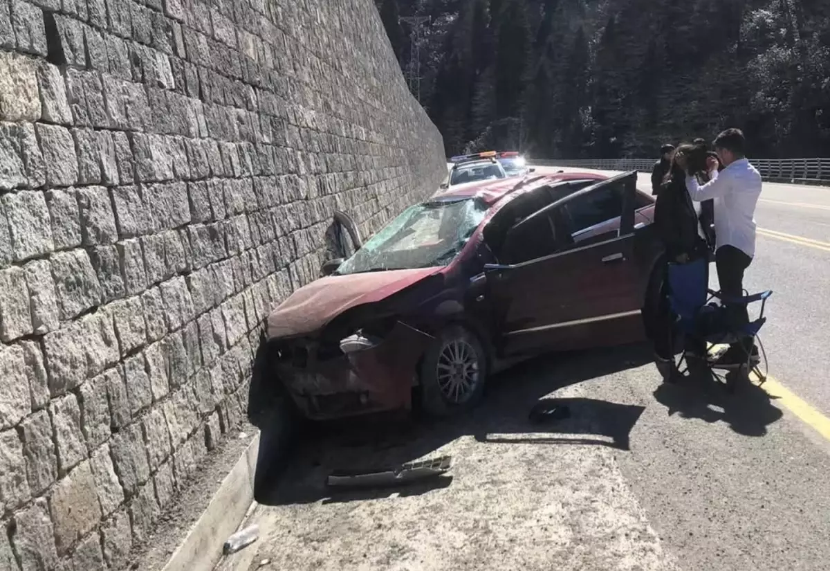 Ayder Yaylası Dönüş Yolunda Arı Saldırısı Sürücünün Kontrolünü Kaybetmesine Neden Oldu