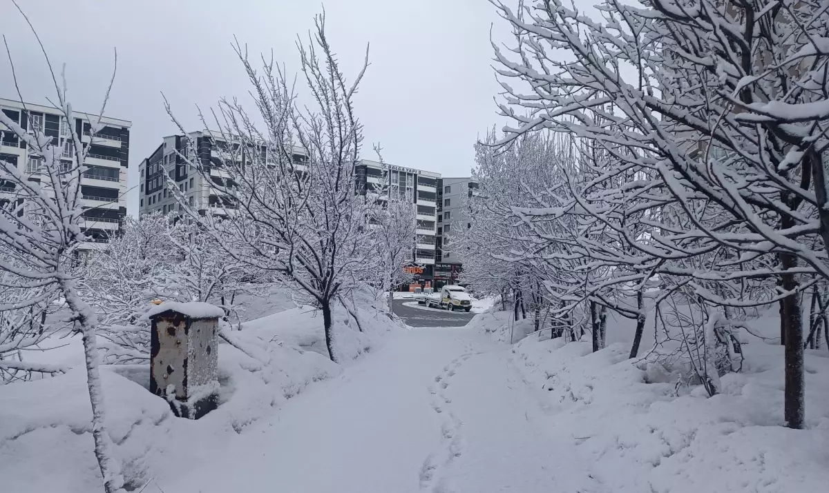 Bitlis’te Şiddetli Kar Yağışı 5 Köyün Yolunu Kapattı