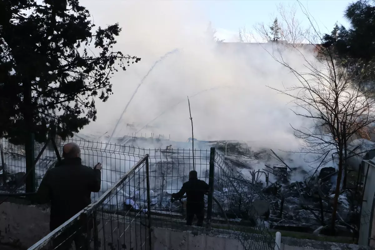 Kilis'te Yangın Felaketi: İtfaiye 6 Yavru Köpeği Kurtardı