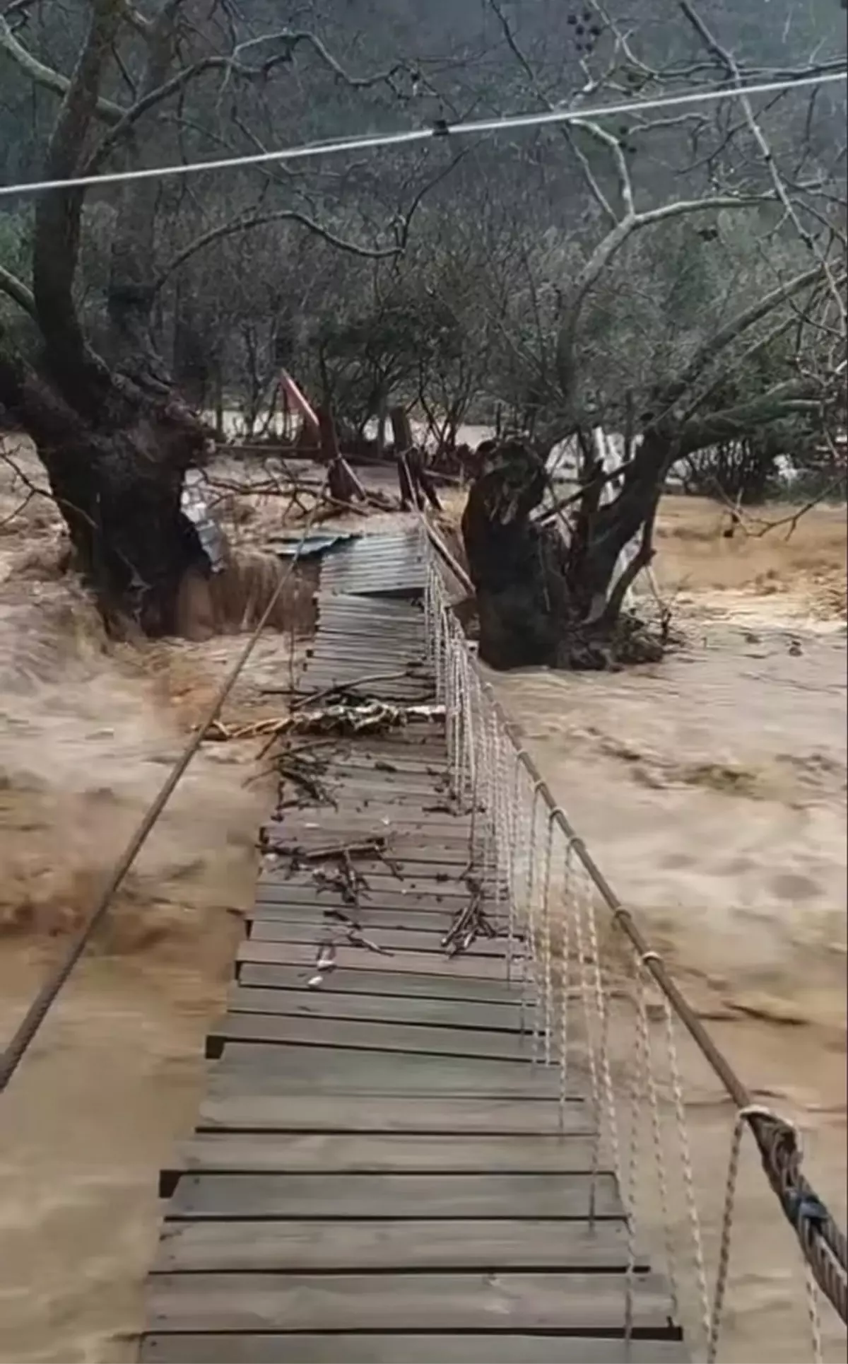Yalova’da Şiddetli Sağanak Sel Getirdi: Çınarcık ve Armutlu’da Büyük Hayvan Kaybı