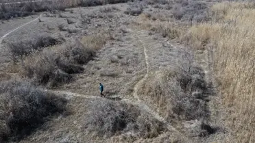 Aras Kuş Cenneti'nde Boğmaklı Toygar İlk Kez Halkalandı, Kuş Sayısı 207'ye Ulaştı