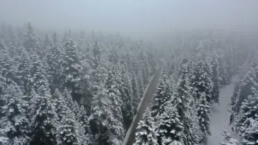 Kartalkaya kayak pistinde kar