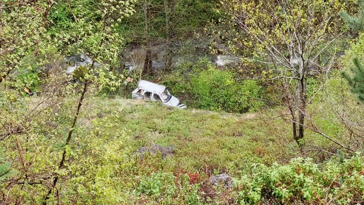 Artvin Borçka’da Araç Dereye Çıktı: Sürücü Hastaneye Sevk Edildi