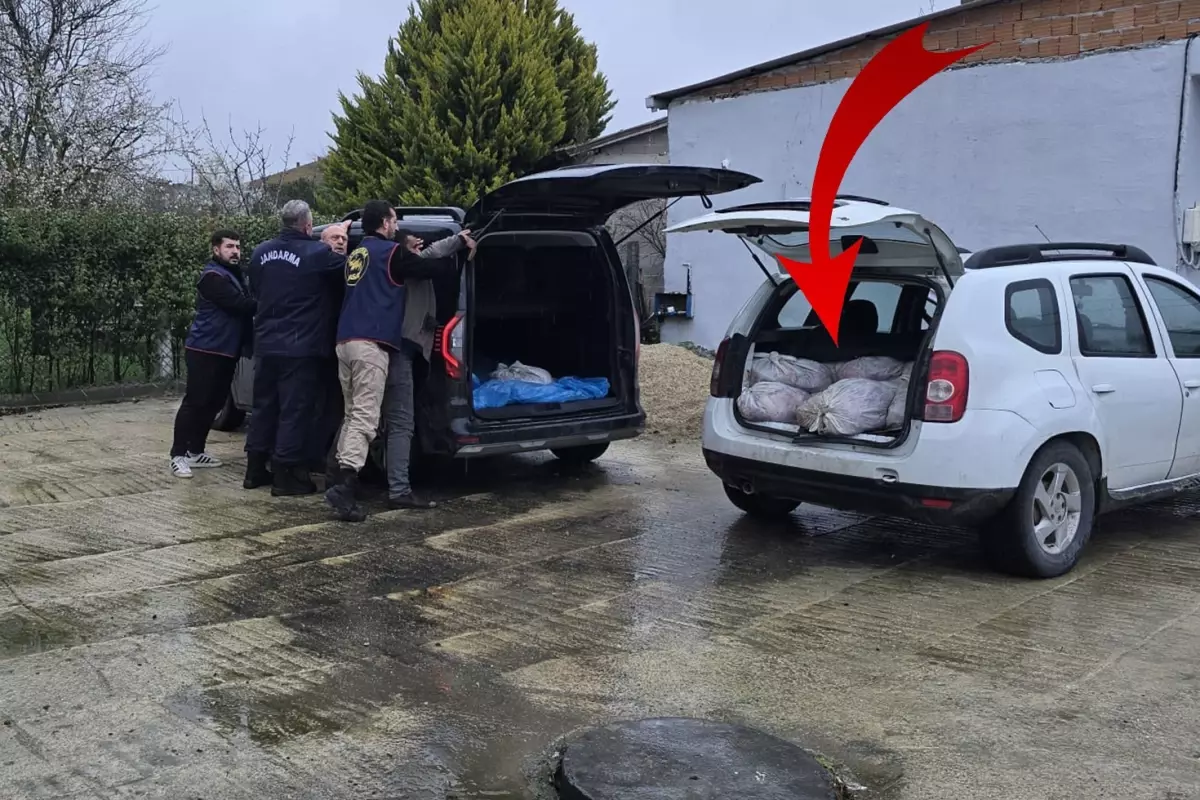 Silivri'de 306 Kilo At Eti Kaçakçılığına Darbe: Jandarma 3 Şüpheliyi Gözaltına Aldı