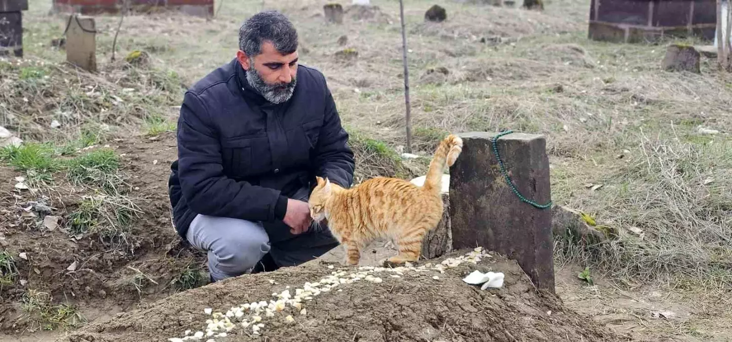 Seyithan Balaman’ın Kedileri Mezarda 9 Gün Boyunca Sadakat Gösterdi