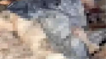 Soruşturma sahasından bir kare