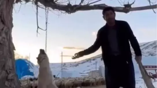 Olay yerindeki fotoğraf