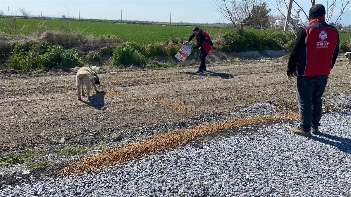 Aydın’da Yaban Hayvanları İçin 150 kg Yem Bırakıldı
