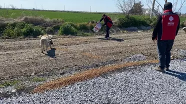 Aydın’da Yaban Hayvanları İçin 150 kg Yem Bırakıldı