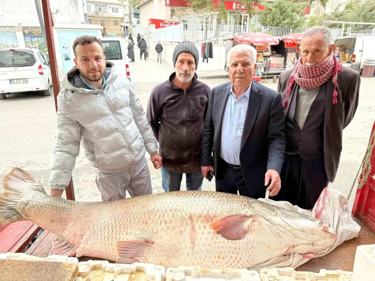 Diyarbakır Çermik’te 120 Kiloluk Dev Turna Balığı Piyasa Doyurdu