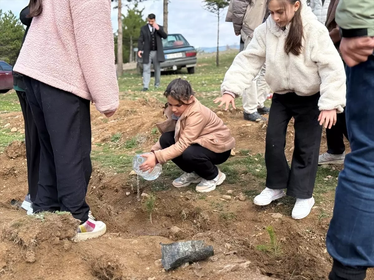 Hamamözü Kaymakamı Arslan, Öğrencilerle 500 Fidanı Toprağa Döktü
