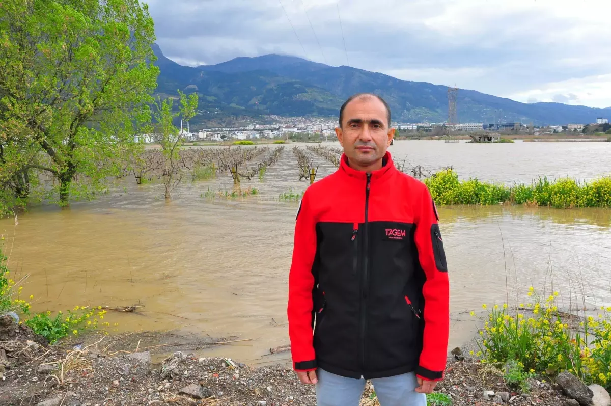 Manisa’da Gediz Nehri Selinin Üzüm Bağlarına Getirdiği Tehlike