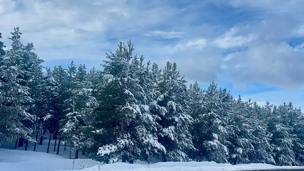 Kars ve Ardahan’da Kar Yağışı Yoğunluğu Artıyor, Ekipler Çalışmalarını Sürdürüyor
