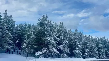 Kar temizleme araçları ve ekipleri