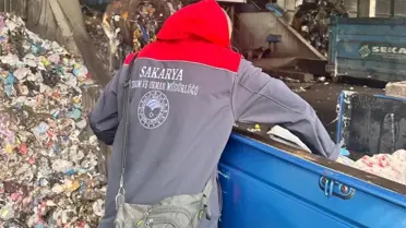 İmha edilen tavuk ürünleri