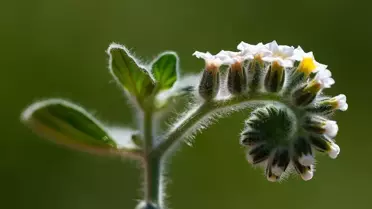 Kazananların ödül töreni fotoğrafı