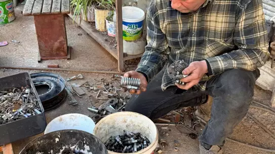 Bukefalos heykelinin detaylı görünümü