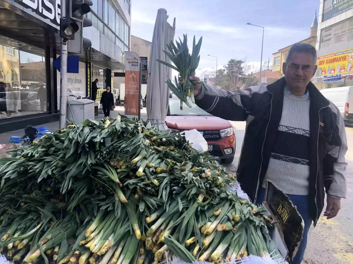 Erzincan’da Çiriş Otu: Doğal Antibiyotik ve Yeni Gelir Kapısı