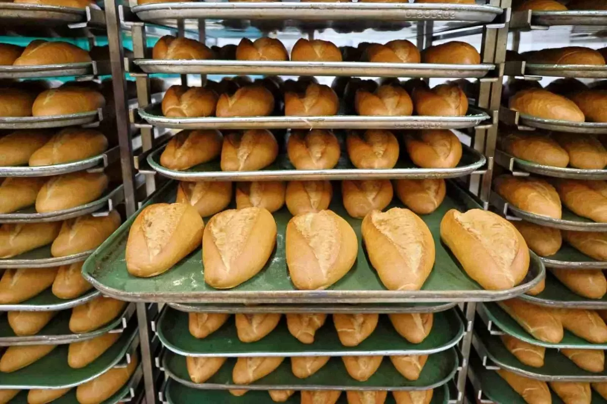 Kocaeli'de Halk Ekmek Gramajı 230 Grama Çıktı, Fiyatı 14 TL Oldu