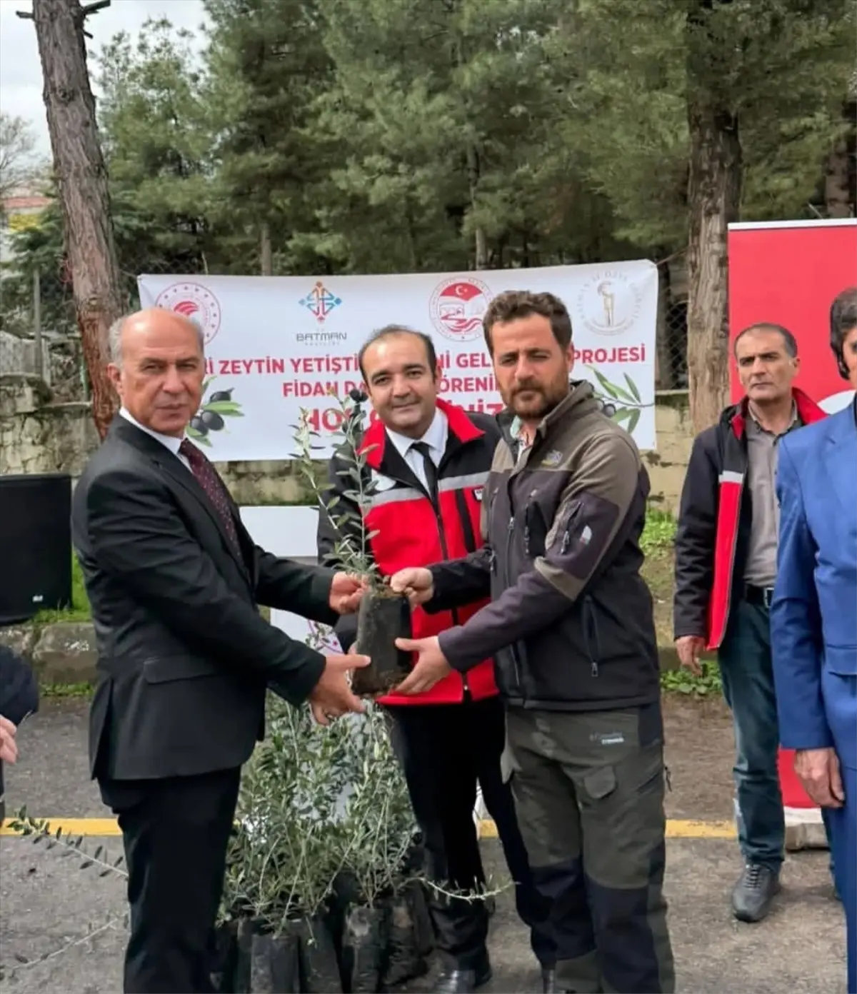 Batman'ın Beşiri İlçesinde 250 Çiftçiye 20 Bin Zeytin Fidanı Dağıtıldı