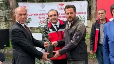 Zeytin fidanı dağıtım anı