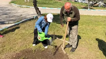 Fidan dikimi sırasında çekilmiş ana fotoğraf