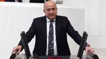 Köprü projesi görseli