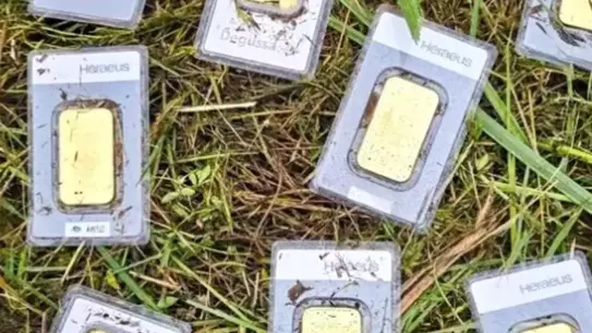 Bannewitz’te 10 Külçe Altın Bulundu: Sahibi Gelmezse Halkla Paylaşılacak