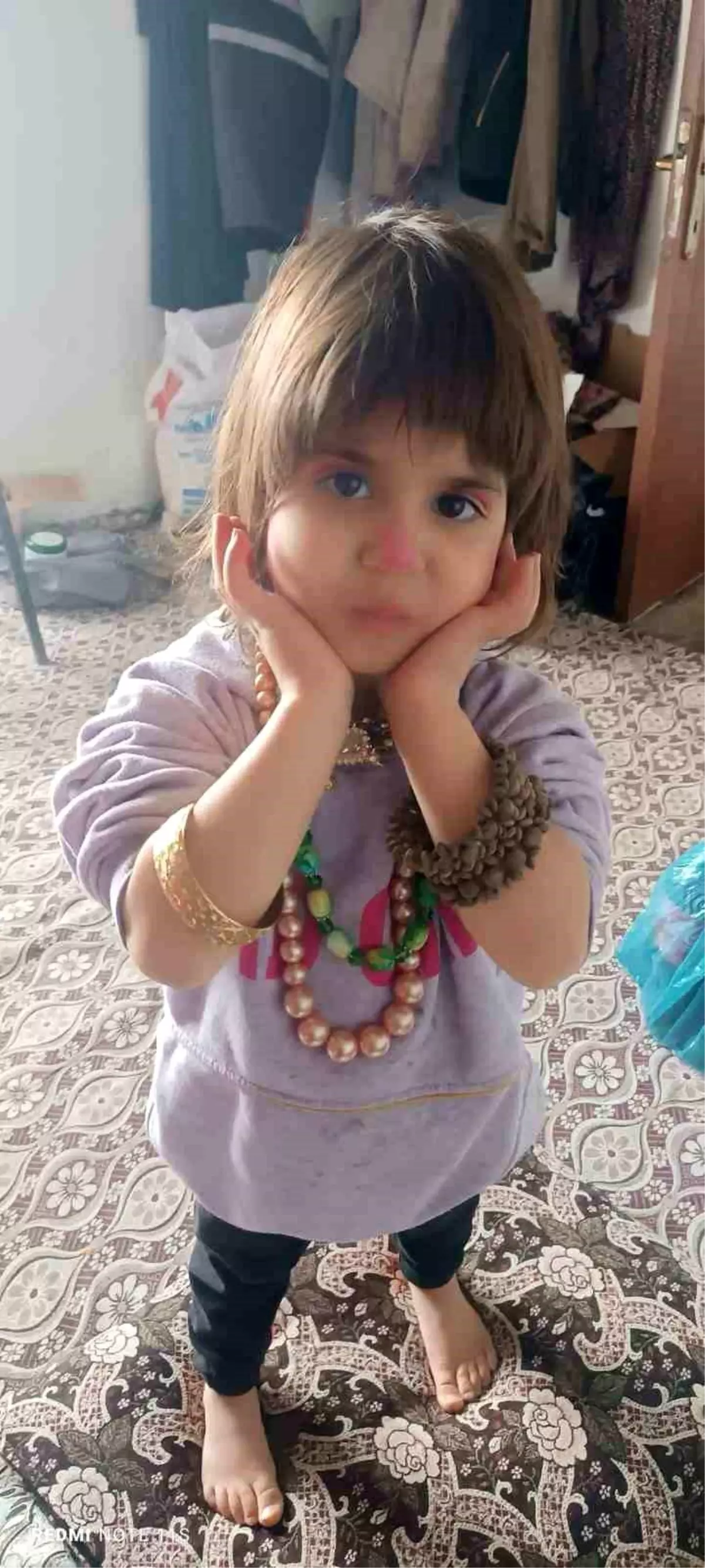 Bitlis’te 4 Yaşındaki Kız Çocuğu Aranıyor: Sağırkaya Köyü’nde Geniş Kapsamlı Arama Başlatıldı