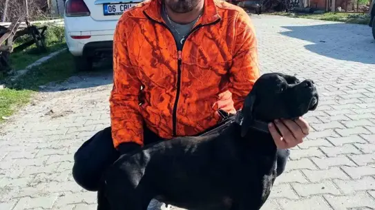 Çamur çukurunda meydana gelen kazanın görüntüsü