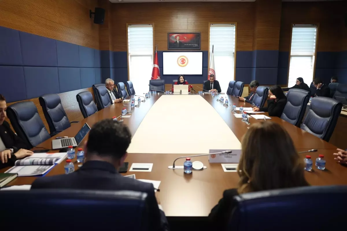 TBMM Finansal Okuryazarlık Alt Komisyonu Toplandı: Yeni Çıktılar ve Yol Haritası