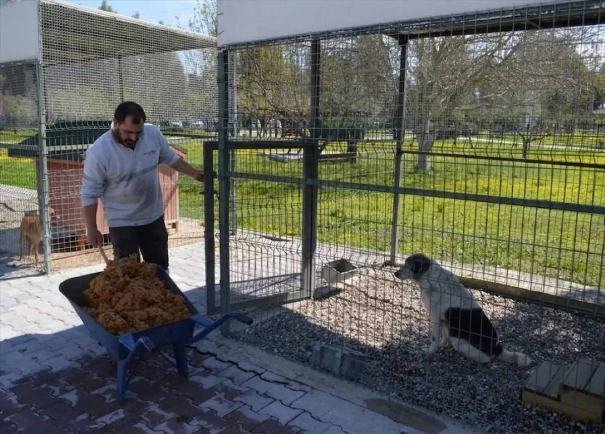 Konyaaltı Belediyesi'nden Sokak Hayvanlarına Doğal Mama Üretimi