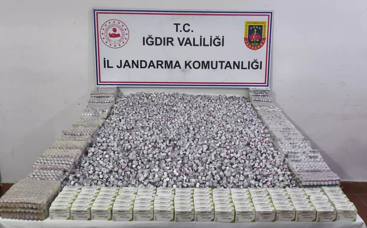 İğdır’da 12.600 Kaçak Botoks İlacı Ele Geçirildi, Piyasa Değeri 56,7 Milyon TL
