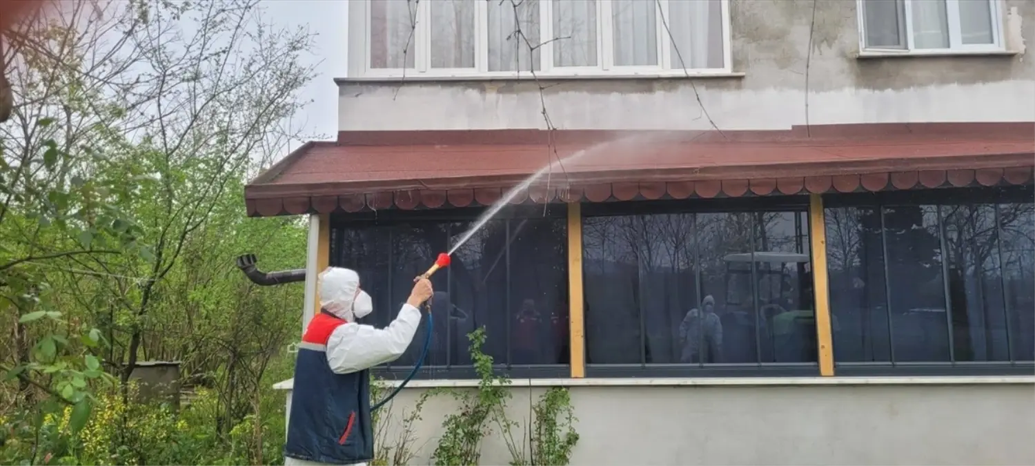 Samsun Salıpazarı'nda Kahverengi Kokarca Kontrolü İçin Biyosidal Çalışmalar Hız Kazandı