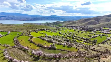 Badem çiçekleriyle süslü Tunceli manzarası