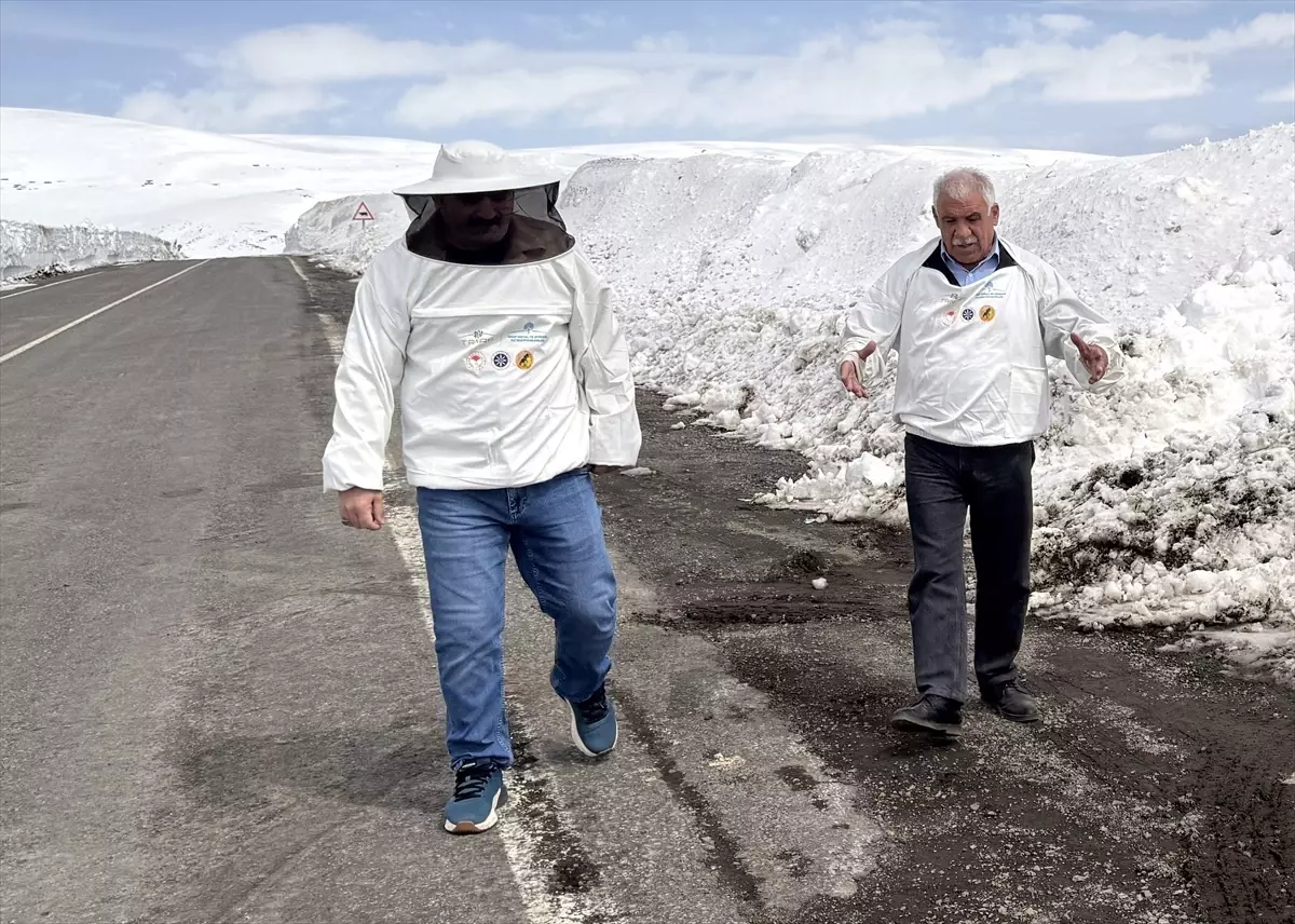 Ardahan‑Ardanuç Karayolunda Kış Açıklığı: Arıcılar Açık Yol Talep Ediyor