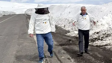 Ardahan‑Ardanuç Karayolunda Kış Açıklığı: Arıcılar Açık Yol Talep Ediyor