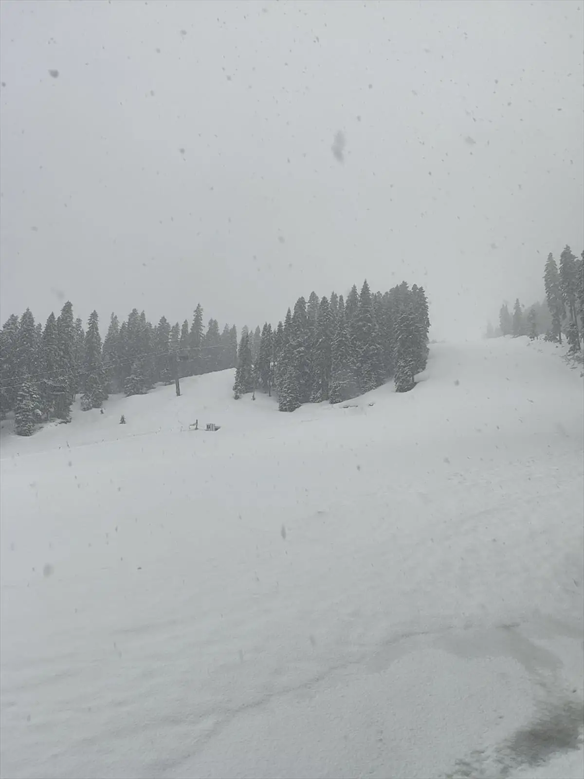 İlgaz Dağı'nda Kar Yağışı Buz Gibi Manzaralar Yaratıyor