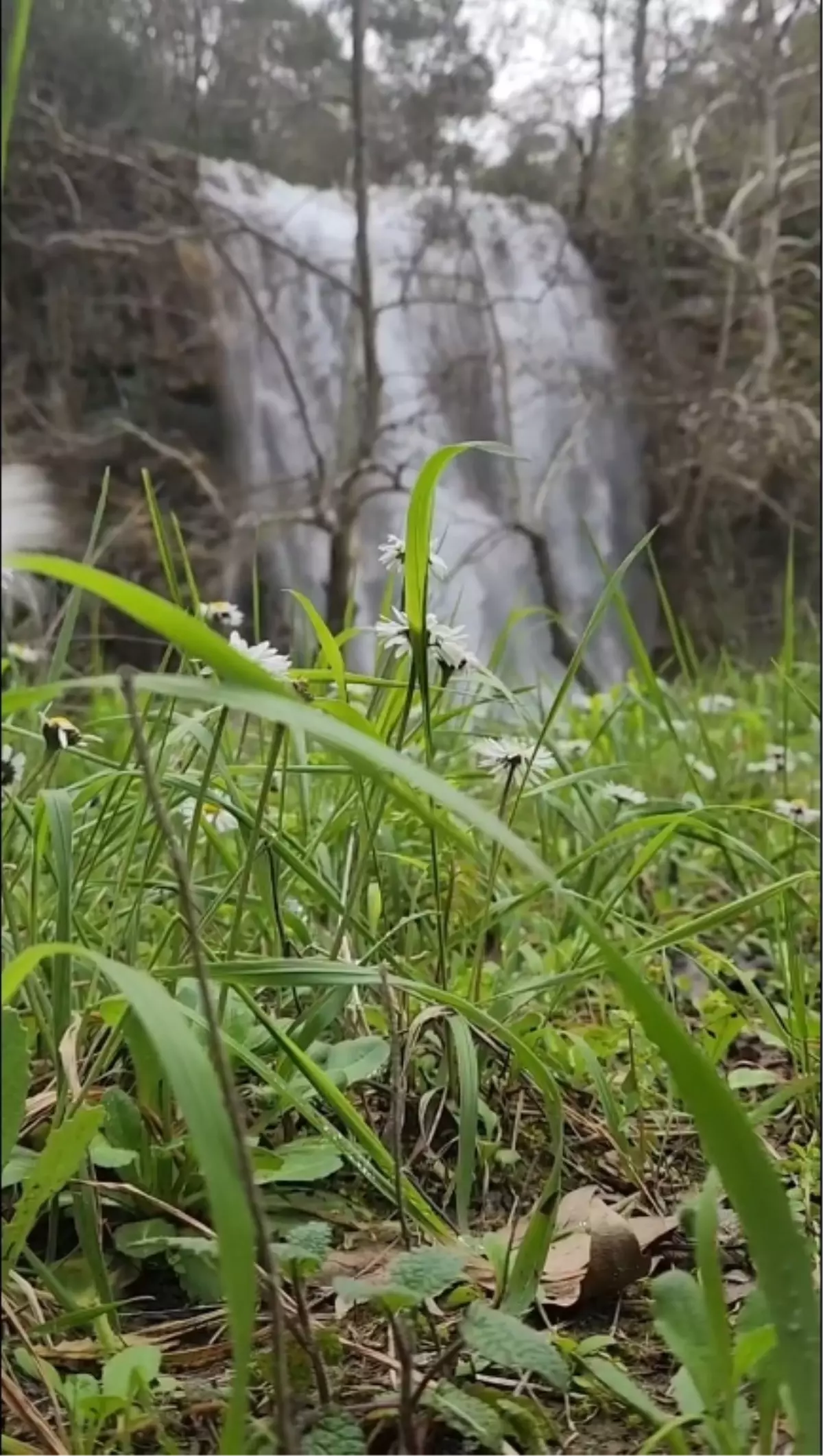 Aladağ’da Şelaleler Yağmurla Buluştu: Kuraklık Sonrası Görsel Şölen