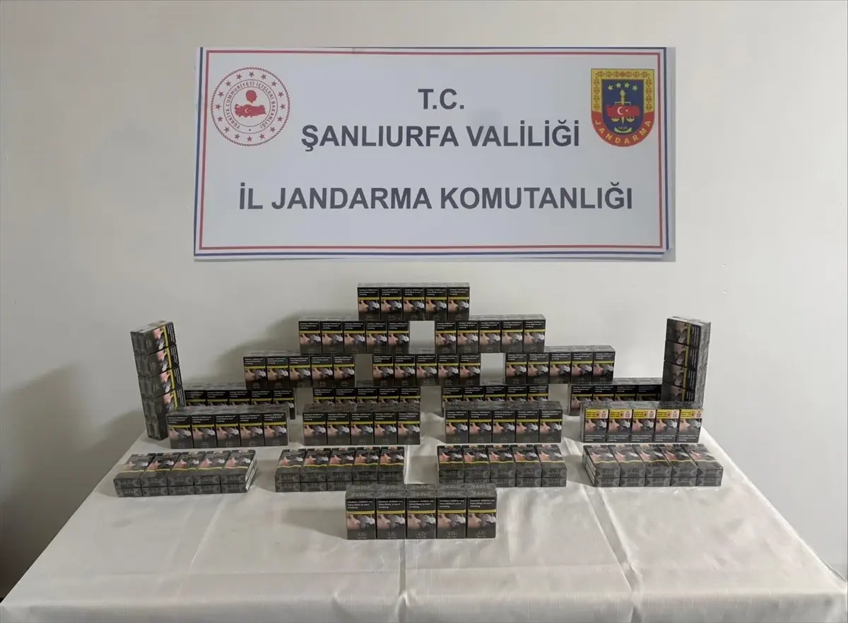 Şanlıurfa’da Birecik ve Viranşehir’de Gerçekleşen Kaçakçılık Operasyonu: 25 Şüpheli Gözaltında