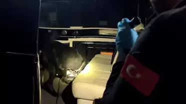 Araçtan ele geçirilen 8,25 kg bonzai ham maddesi